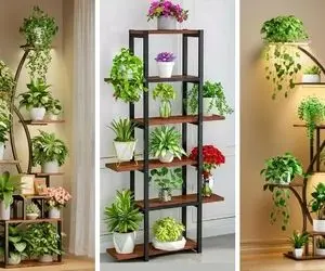 استند گل ایستاده جذاب؛ گیاهان آپارتمانی رو پخش و پلا نذار اینجوری دیزاین خونه کن