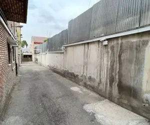 واکنش فرزند کروبی به تصویری تازه از کوچه اختر