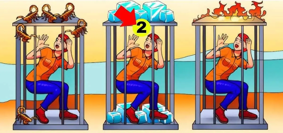 تست-هوش-با-قفس-امن-3