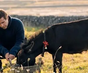 (ویدئو) مجری اسکار با الاغ روی صحنه آمد! 