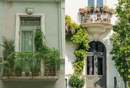 گیاهان آپارتمانی بادوام در برابر سرما برای بالکن؛ در پاییز و زمستان تراستان رویایی ست