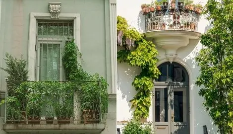 گیاهان آپارتمانی بادوام در برابر سرما برای بالکن؛ در پاییز و زمستان تراستان رویایی ست