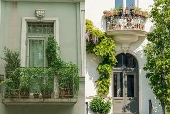 گیاهان آپارتمانی بادوام در برابر سرما برای بالکن؛ در پاییز و زمستان تراستان رویایی ست