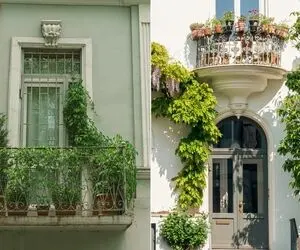گیاهان آپارتمانی بادوام در برابر سرما برای بالکن؛ در پاییز و زمستان تراستان رویایی ست
