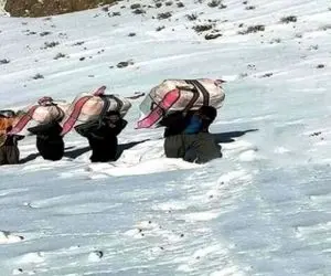 (عکس) کولبران روستای کوران چگونه کشته کشدند؟