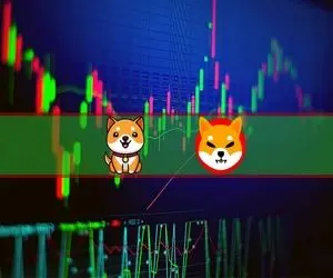 بیبی دوج رقیب شیبااینو  گل کاشت!