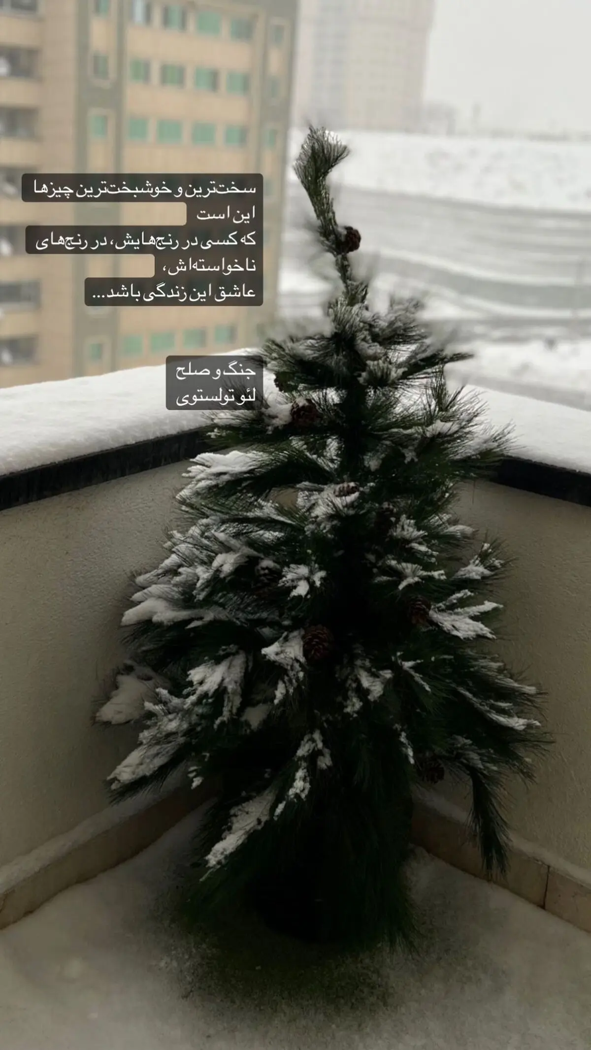 مریم+معصومی+(1)