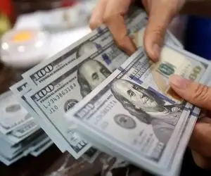 قیمت دلار توافقی امروز دوشنبه 12 خرداد 1404 / حواله دلار رشد کرد