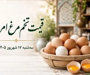 قیمت تخم مرغ امروز سه شنبه 17 شهریور 1405؛ یک شانه گران‌ تر از دستمزد کارگر!