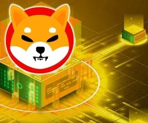 شیبااینو  و رقبا برای همیشه کنار می روند؟