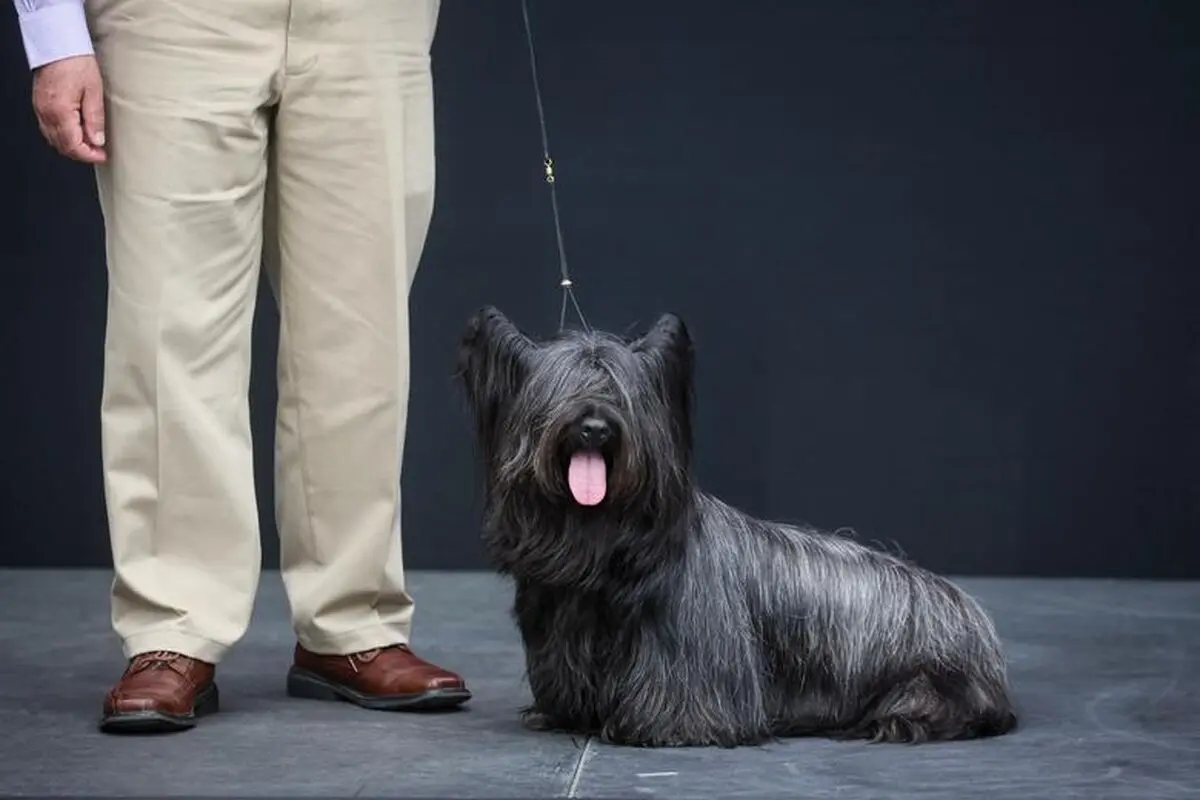 s4.reutersmedia.net
