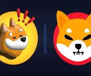 ارزهایی که زدن رو دست دوج کوین و شیبااینو!