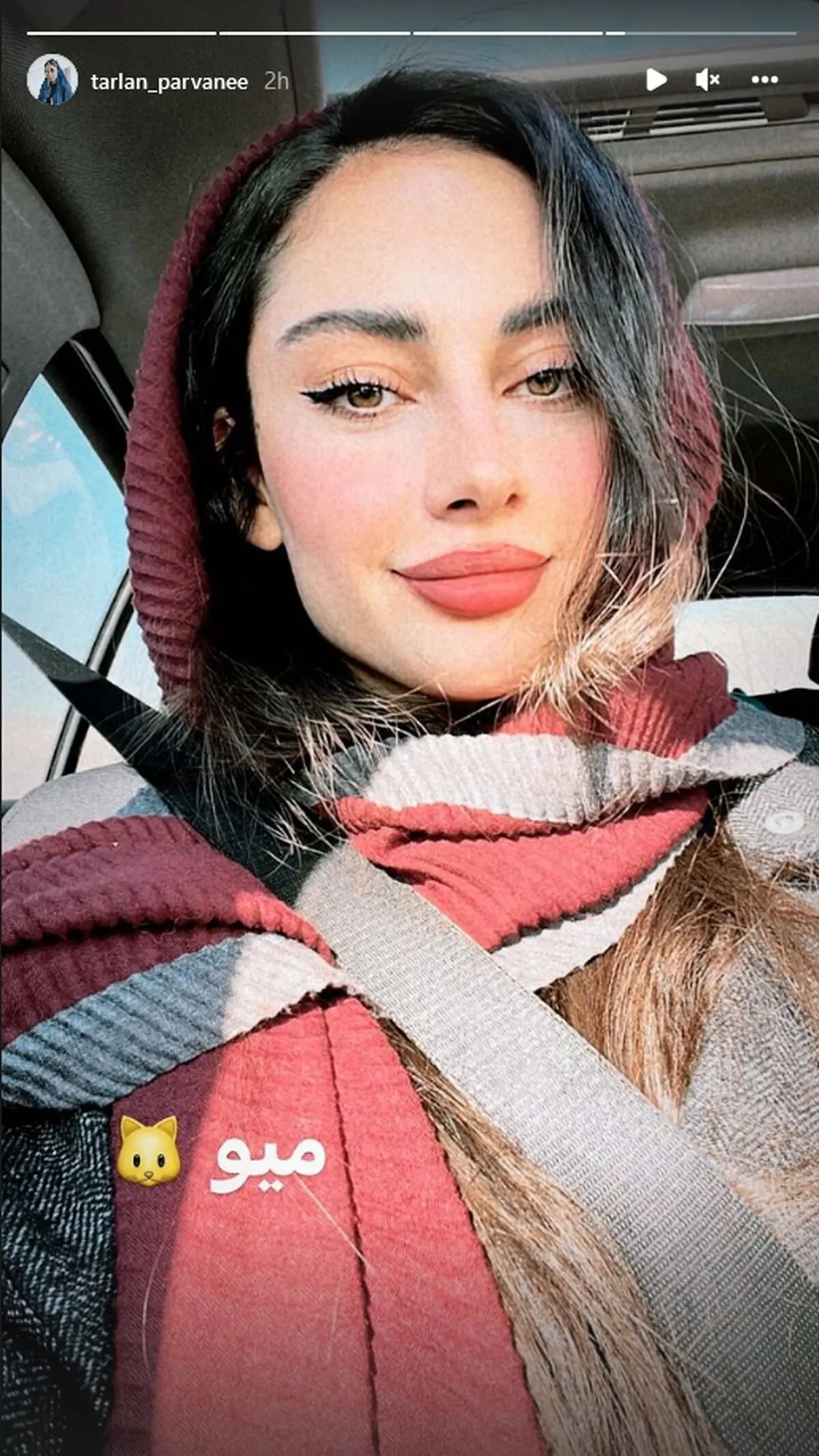 ترلان+پروانه