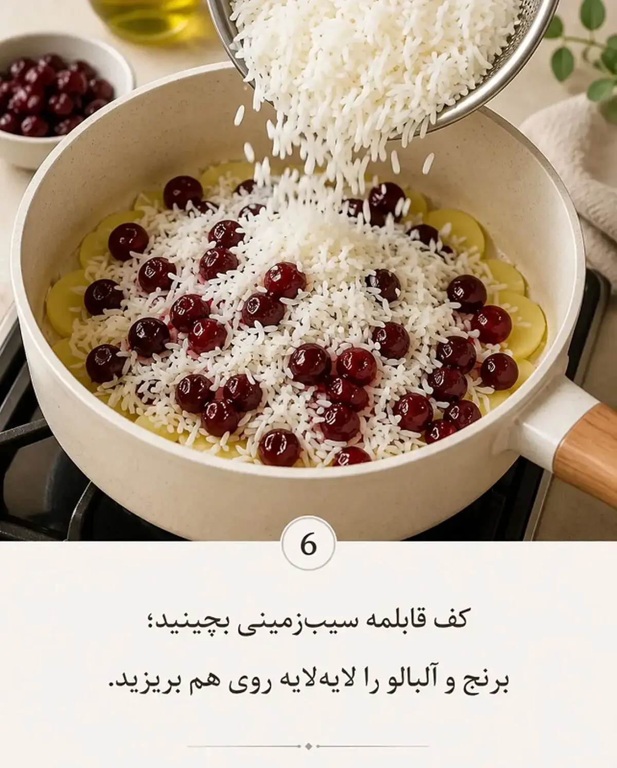 آلبالو پلو 6