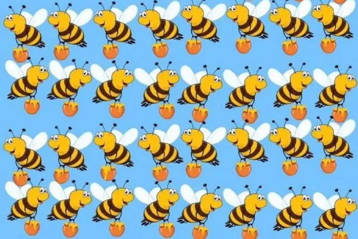 زنبور