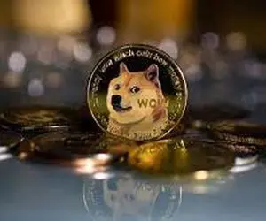 سیگنالی مهم برای دوج کوینی ها!!