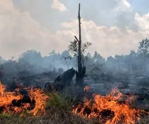 جزئیات جدید از حادثه آتش‌سوزی آبیدر سنندج