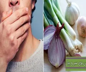 بردن فوری بوی پیاز از دهان / اصن غذایی که کنارش این بزرگوار نباشه مزه نمیده بزن تو رگ