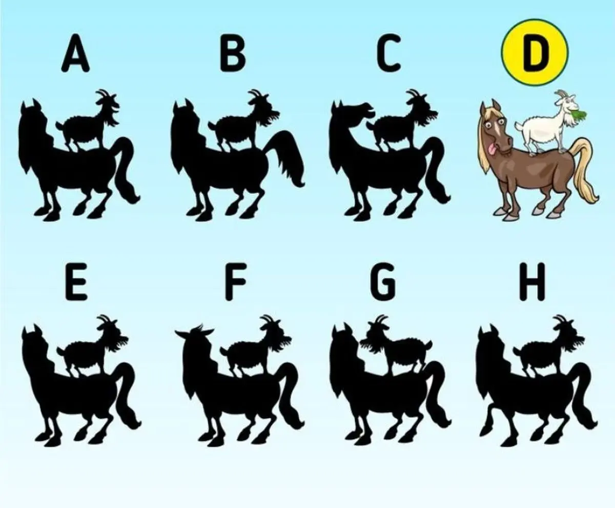 ظط
