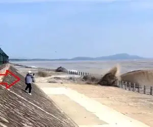 معماری طبیعت؛ میگن ضرر به مال برسه به جون نه سیل بنده خدا رو نکشت ولی بد ضرر زد بهش