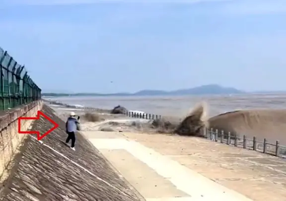 معماری طبیعت؛ میگن ضرر به مال برسه به جون نه سیل بنده خدا رو نکشت ولی بد ضرر زد بهش