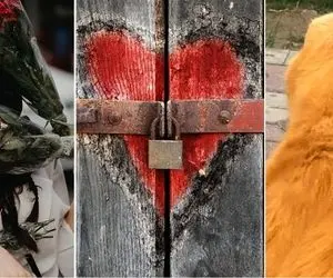 خانوم بازیگر بعد "سقوط عشقیش" همرو عشق ممنوع کرد؛ دُکی جون این قاطی بازیا چیه!