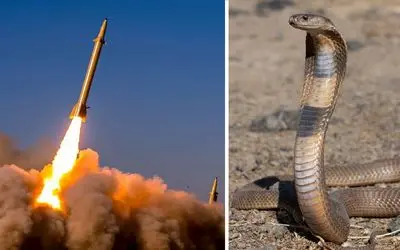 ناگفته‌ها؛ تاکتیک‌های جنگی عجیب و غریب: استفاده از مار به جای بمب اتمی