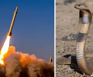 ناگفته‌ها؛ تاکتیک‌های جنگی عجیب و غریب: استفاده از مار به جای بمب اتمی