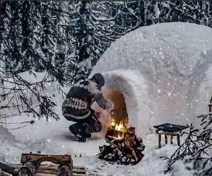 معماری خلاقانه؛ عاشقان برف کلبه یخی ساختن با خرس های قطبی همزاد پنداری کنند