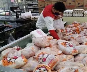 قیمت جدید مرغ را ببینید + جدول قیمت