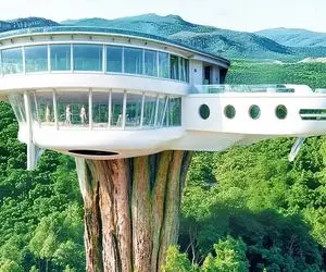 معماری خلاقانه؛ شاخ و برگ درخت و زدن روش خونه آینه ای سه بعدی ساختن کل جنگل زیر پاشه