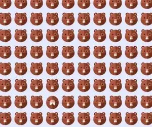 بازی فکری؛ بین خانواده سمورها یه حیوان متفاوت پنهونه که باهوشای ارشد پیداش میکنن