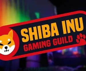 شیبااینو وارد جنگ با سولانا؛ دلیل این تمسخر؟