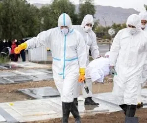  ۶۲۵ بیمار کووید۱۹ جان خود را از دست دادند