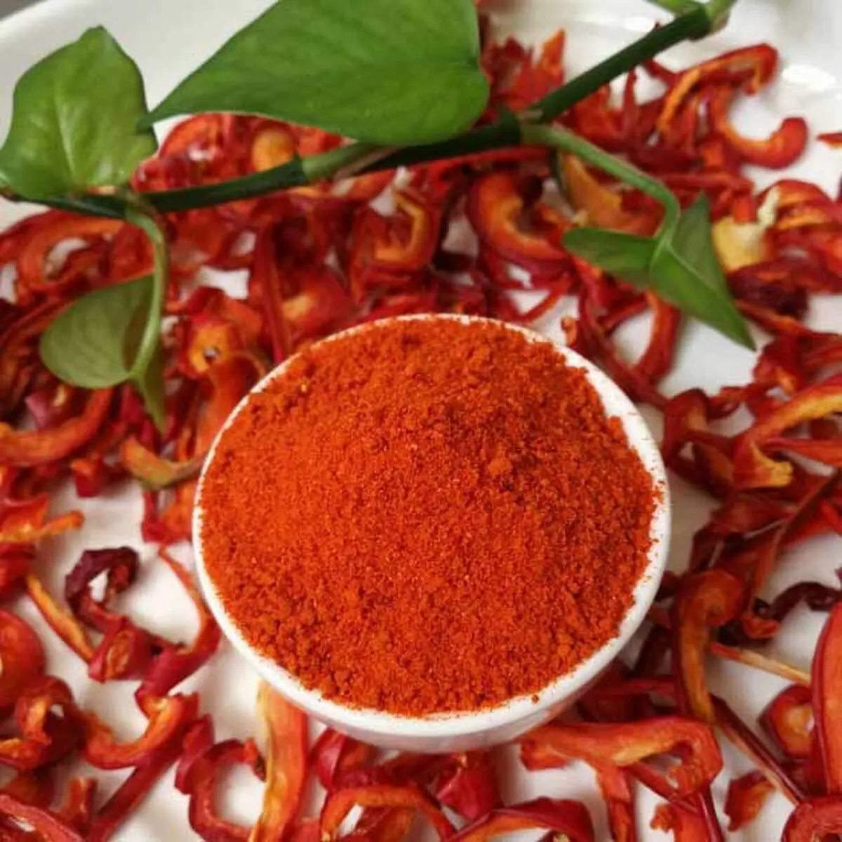 paprika-6