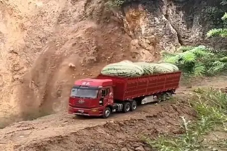 معماری طبیعت؛ راننده شوماخره کوه داره میریزه انقد با مهارت روند هندونه ها تکون نخوردن