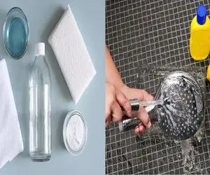 سردوش حموم رو با این روش خونگی  جرم گیری کن/ حموم کردن با سردوش تمیز مثل بهشت میمونه