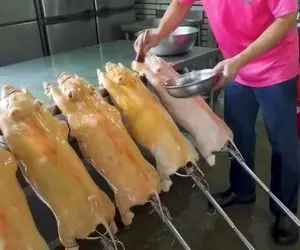 غذای گوشتی ؛ خوک شیرخوارو صف کردن که ازش غذای برشته درست کنن/ اگه دلت ریش  ریش میشه نبین