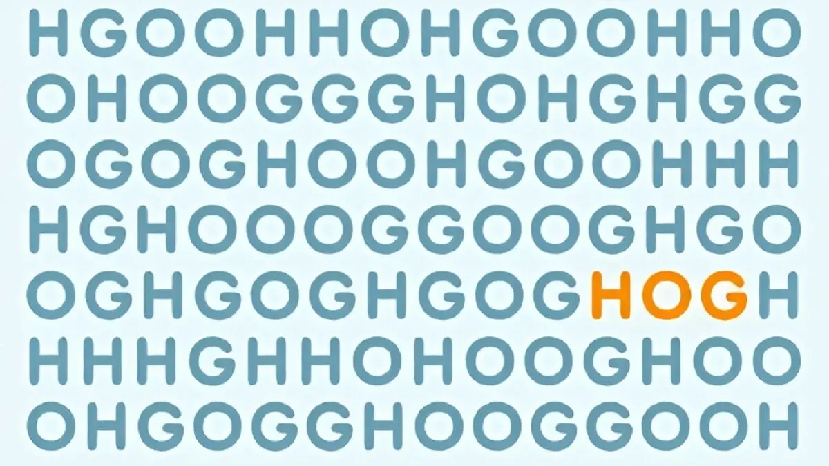 پاسخ-تست-هوش-یافتن-کلمه-HOG