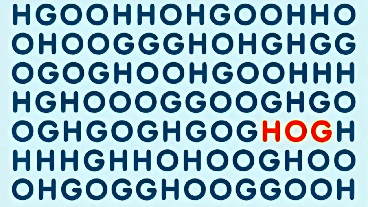 پاسخ-تست-هوش-یافتن-کلمه-HOG