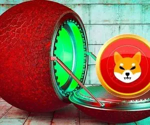 اتفاقی که شاید فرشته نجات شیبااینو باشد!