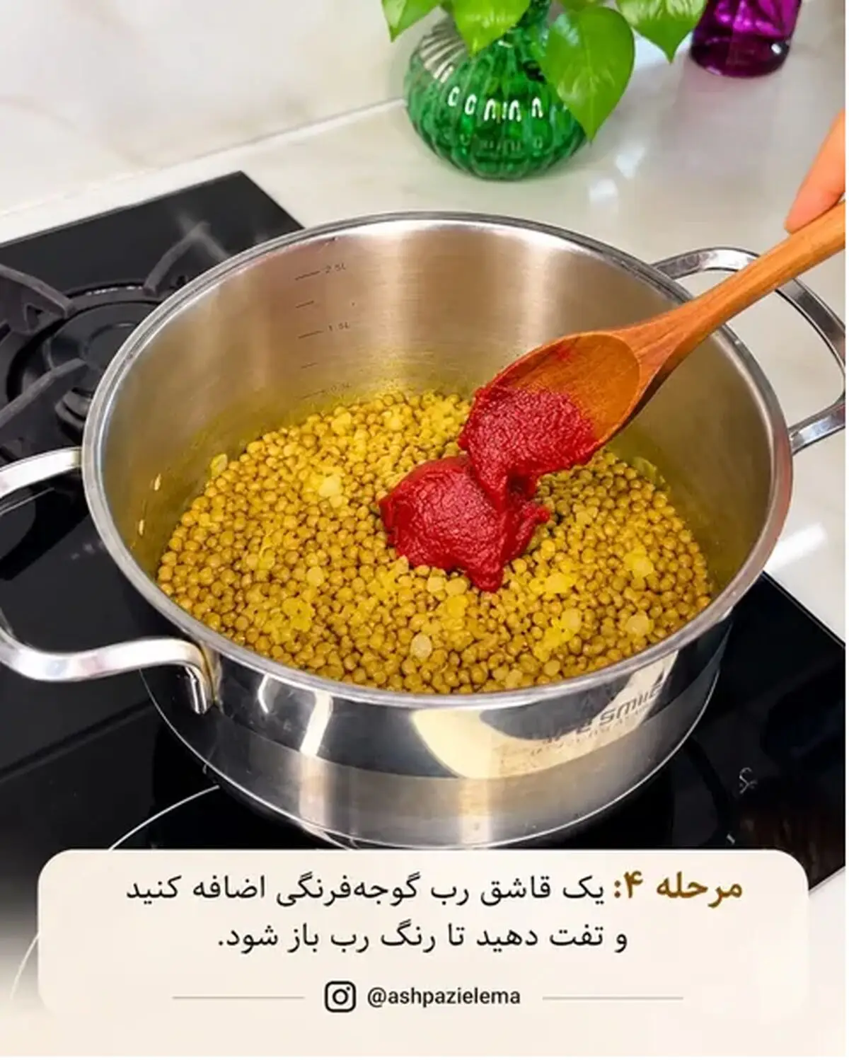 عدسی 4