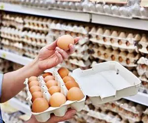 قیمت تخم مرغ امروز شنبه 16 خرداد 1405