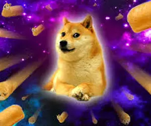 سیگنالی مهم از شیبااینو و دوج کوین!