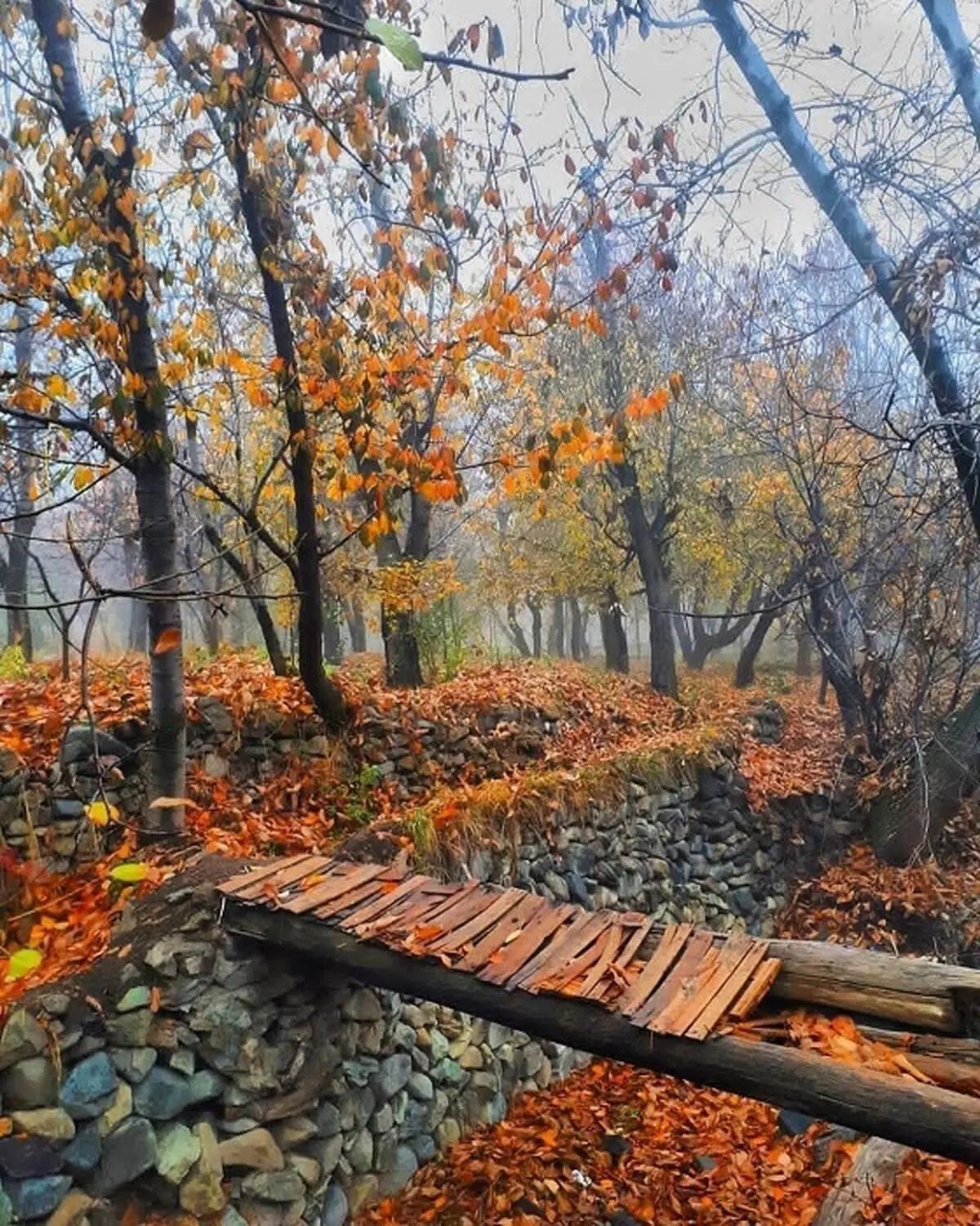 پاییز روستای سنگان