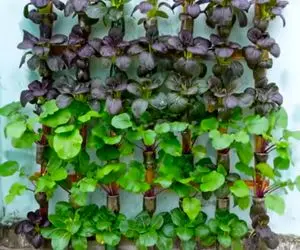 ایده های خلاقانه؛ باغچه کف حیاط نداری؟ ناراحتی نداره برو تو کار این ایستاده ها