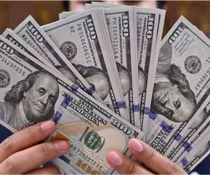 فریز دلار توافقی؛ تهدید خاموش یا فرصت طلایی برای شرکت‌های بورسی؟