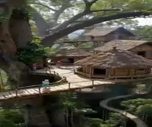 معماری خلاقانه؛ درختو مثل ساختمون طبقه بندی کردن هر خانواده تو یه طبقه خونه ساخته شیک