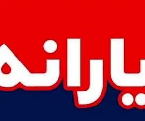 پیشنهاد یارانه نقدی ۲۵۰ هزار تومانی شامل چه کسانی می شود؟