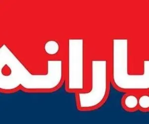 پیشنهاد یارانه نقدی ۲۵۰ هزار تومانی شامل چه کسانی می شود؟